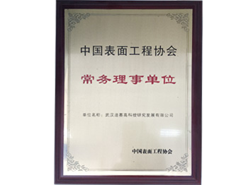 中國表面工程協會常務理事單位